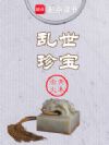 乱世珍宝
